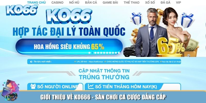 Giới thiệu tổng quan về nhà cái KO666