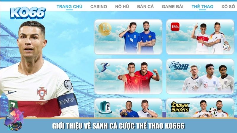 Sảnh cá cược thể thao KO666 mang đến một trải nghiệm cá cược đẳng cấp